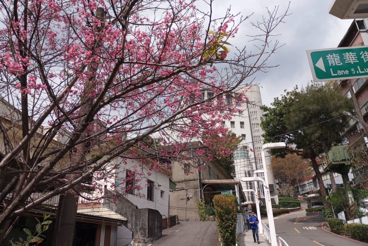 龍華科大致力綠化及環保卓然有成，隨處可見校園即花園的美麗景致。